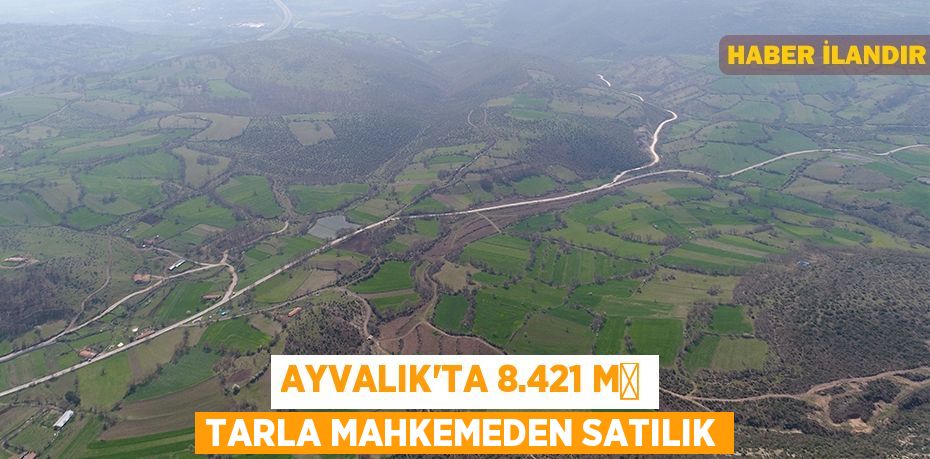 Ayvalık'ta 8.421 m² tarla mahkemeden satılık