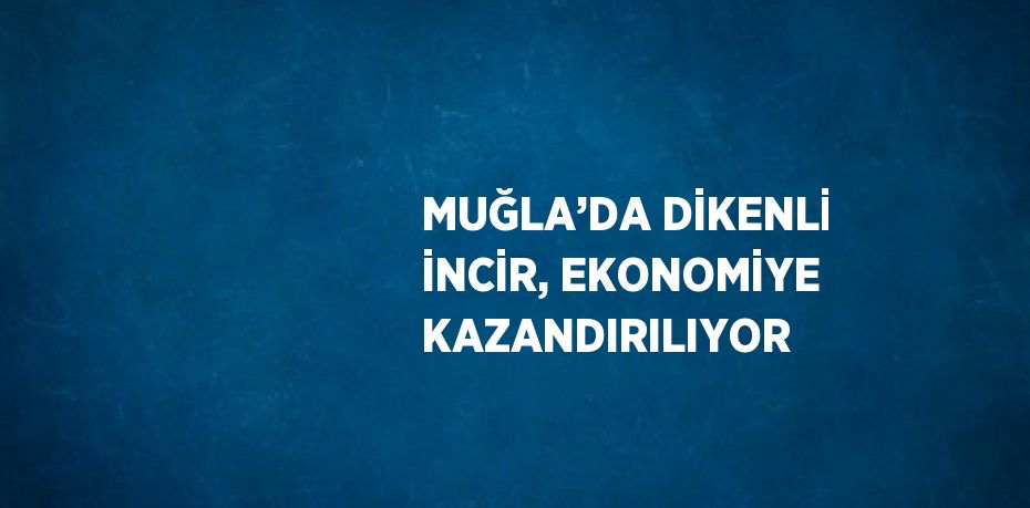 MUĞLA’DA DİKENLİ İNCİR, EKONOMİYE KAZANDIRILIYOR