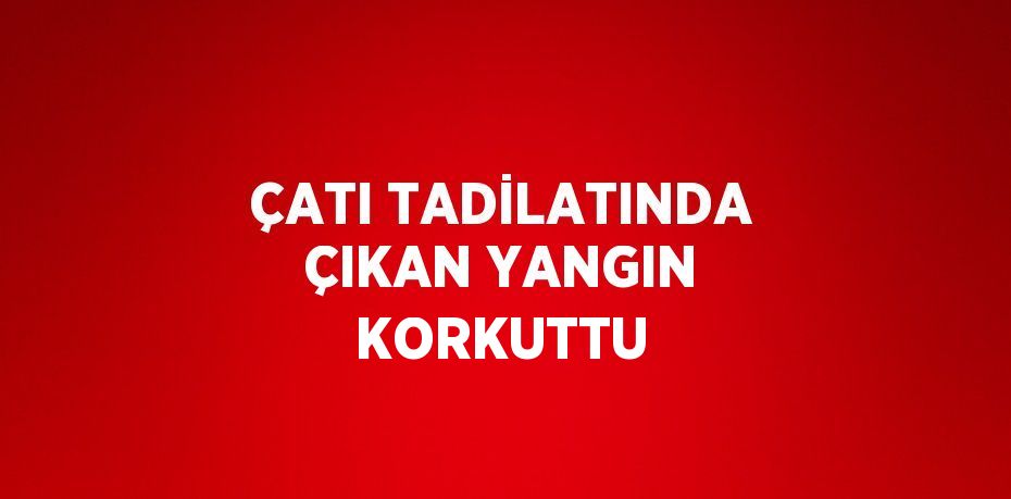 ÇATI TADİLATINDA ÇIKAN YANGIN KORKUTTU