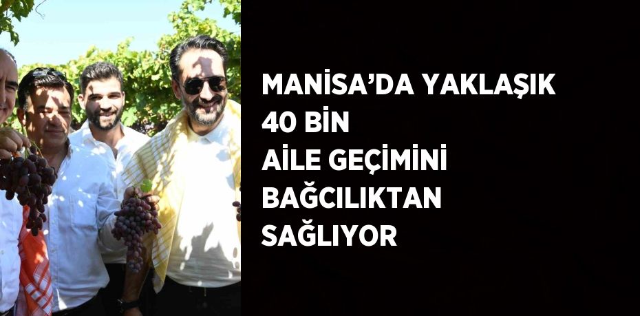 MANİSA’DA YAKLAŞIK 40 BİN AİLE GEÇİMİNİ BAĞCILIKTAN SAĞLIYOR