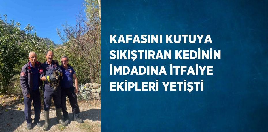 KAFASINI KUTUYA SIKIŞTIRAN KEDİNİN İMDADINA İTFAİYE EKİPLERİ YETİŞTİ