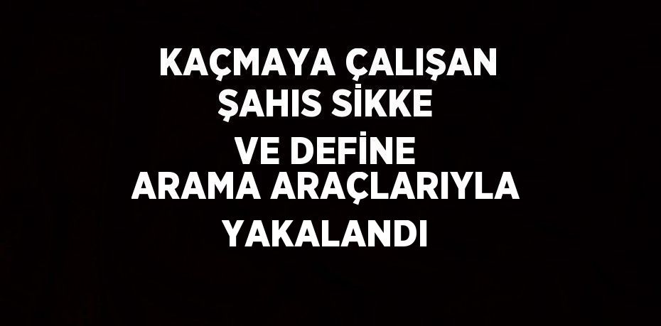 KAÇMAYA ÇALIŞAN ŞAHIS SİKKE VE DEFİNE ARAMA ARAÇLARIYLA YAKALANDI