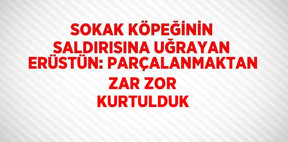 SOKAK KÖPEĞİNİN SALDIRISINA UĞRAYAN ERÜSTÜN: PARÇALANMAKTAN ZAR ZOR KURTULDUK