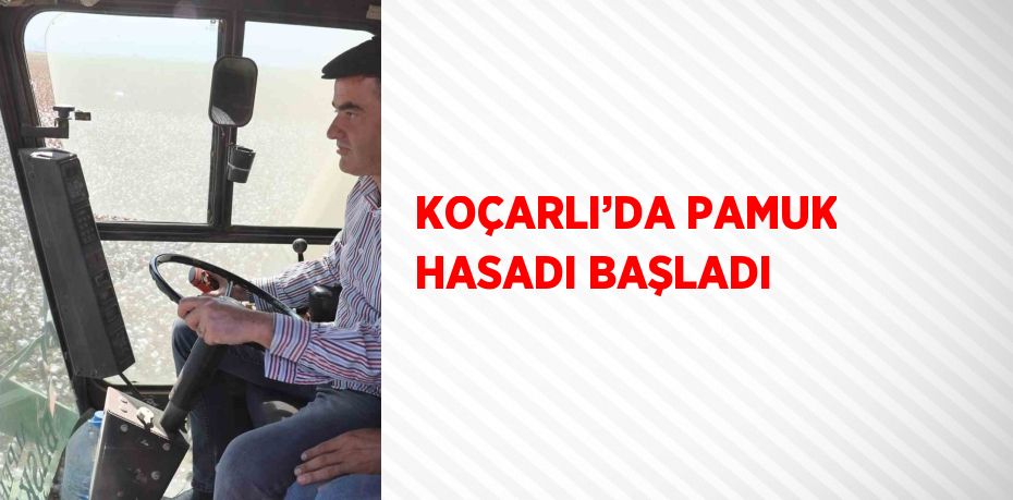 KOÇARLI’DA PAMUK HASADI BAŞLADI