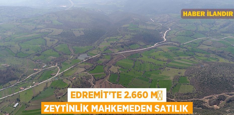 Edremit'te 2.660 m² zeytinlik mahkemeden satılık