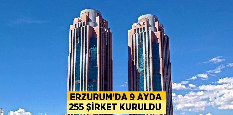 ERZURUM’DA 9 AYDA 255 ŞİRKET KURULDU