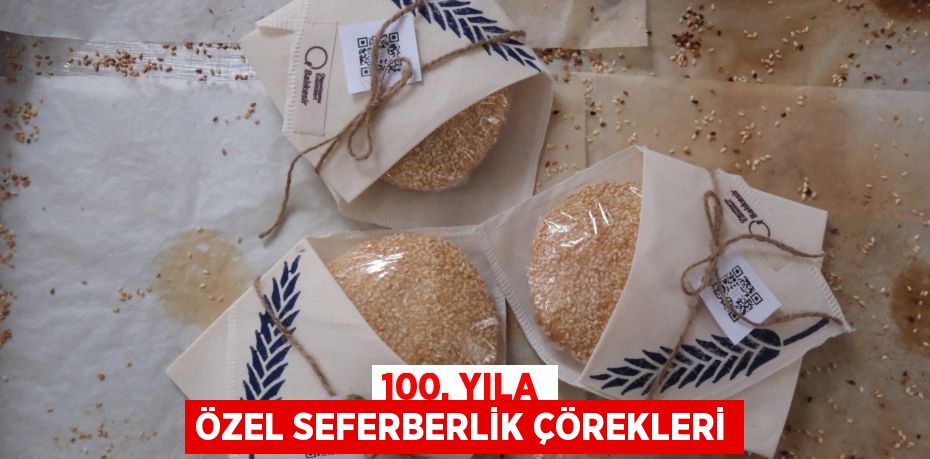 100. YILA ÖZEL SEFERBERLİK ÇÖREKLERİ