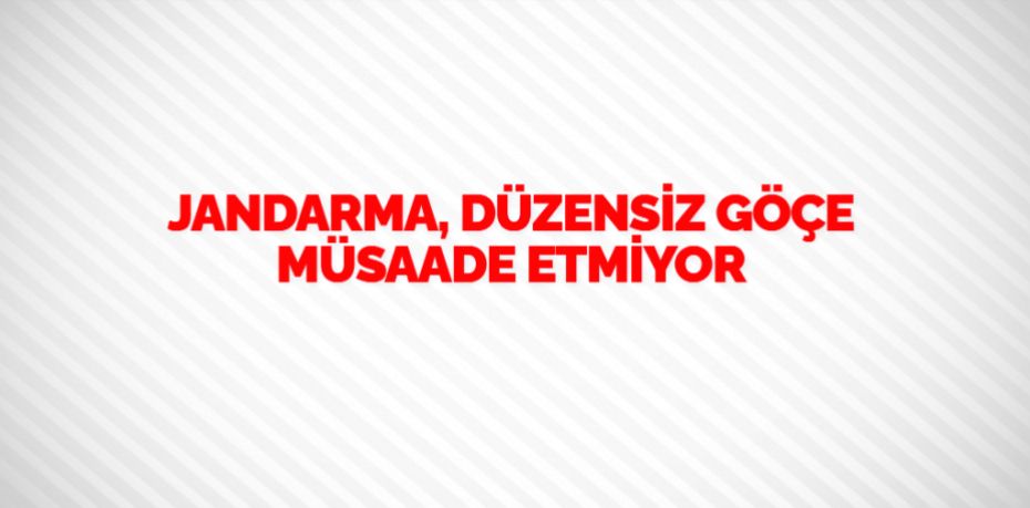 JANDARMA, DÜZENSİZ GÖÇE MÜSAADE ETMİYOR