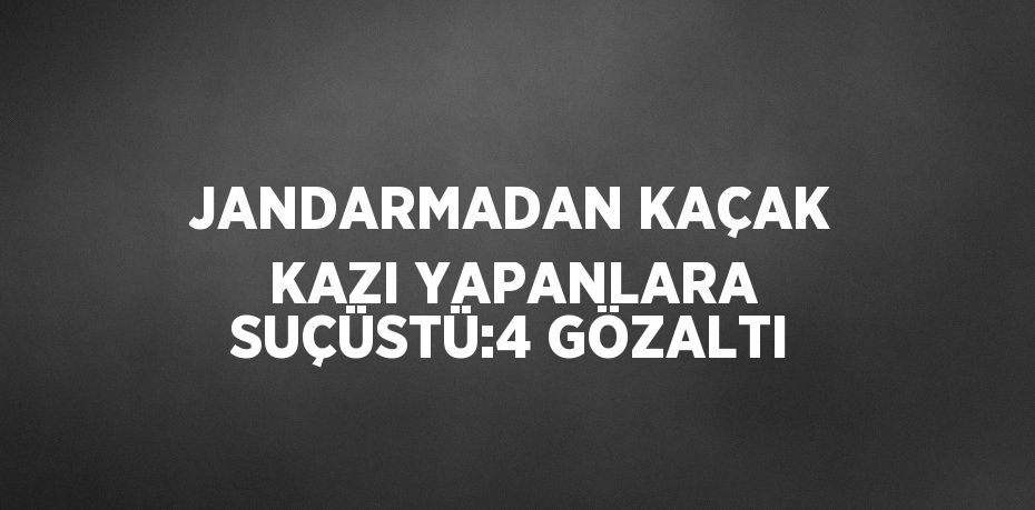 JANDARMADAN KAÇAK KAZI YAPANLARA SUÇÜSTÜ:4 GÖZALTI