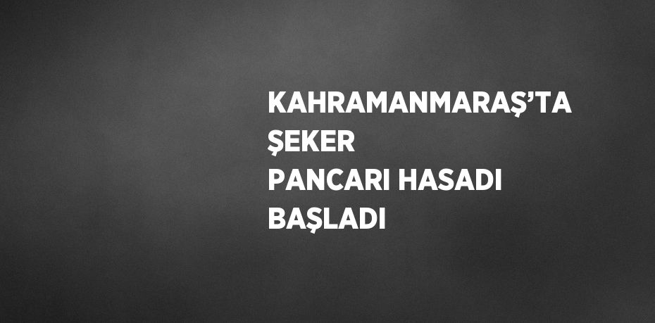 KAHRAMANMARAŞ’TA ŞEKER PANCARI HASADI BAŞLADI