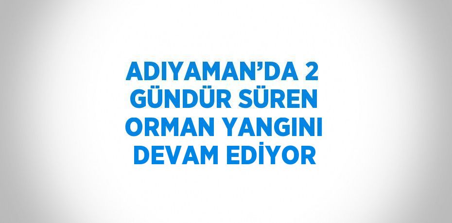 ADIYAMAN’DA 2 GÜNDÜR SÜREN ORMAN YANGINI DEVAM EDİYOR