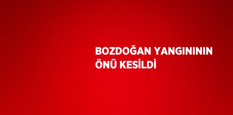 BOZDOĞAN YANGINININ ÖNÜ KESİLDİ