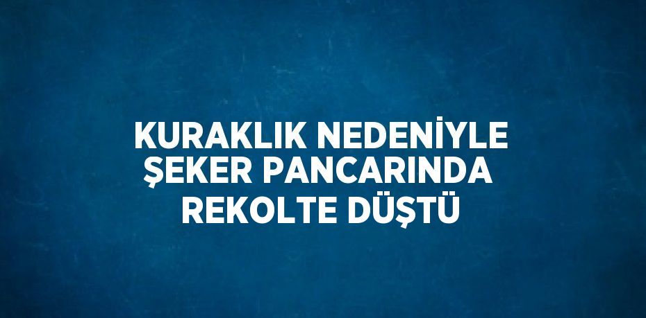 KURAKLIK NEDENİYLE ŞEKER PANCARINDA REKOLTE DÜŞTÜ