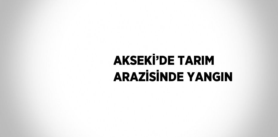 AKSEKİ’DE TARIM ARAZİSİNDE YANGIN