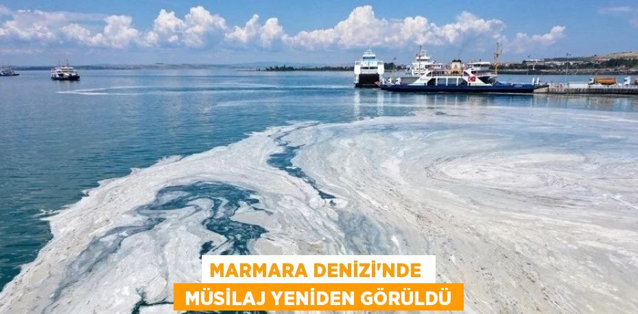 MARMARA DENİZİ’NDE   MÜSİLAJ YENİDEN GÖRÜLDÜ