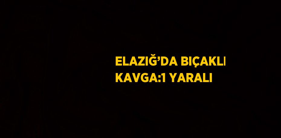 ELAZIĞ’DA BIÇAKLI KAVGA:1 YARALI