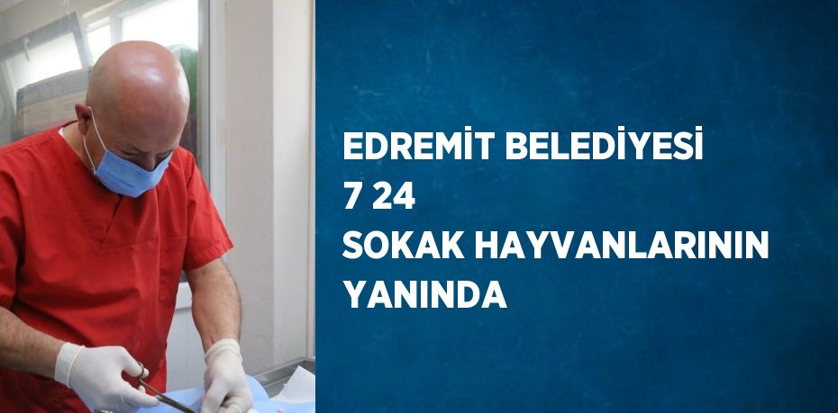 EDREMİT BELEDİYESİ 7 24 SOKAK HAYVANLARININ YANINDA