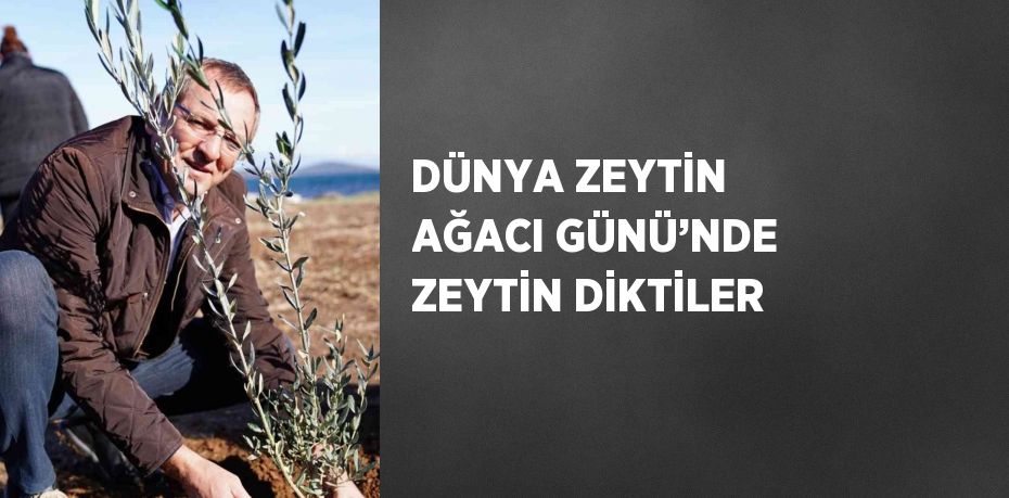 DÜNYA ZEYTİN AĞACI GÜNÜ’NDE ZEYTİN DİKTİLER