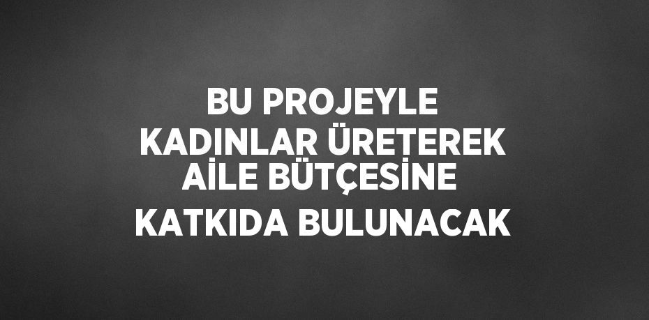 BU PROJEYLE KADINLAR ÜRETEREK AİLE BÜTÇESİNE KATKIDA BULUNACAK