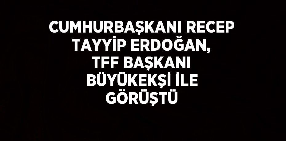 CUMHURBAŞKANI RECEP TAYYİP ERDOĞAN, TFF BAŞKANI BÜYÜKEKŞİ İLE GÖRÜŞTÜ