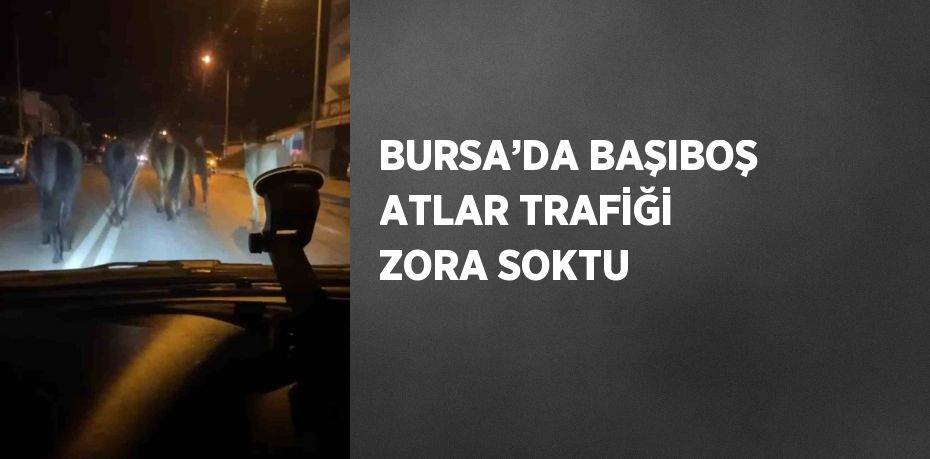 BURSA’DA BAŞIBOŞ ATLAR TRAFİĞİ ZORA SOKTU