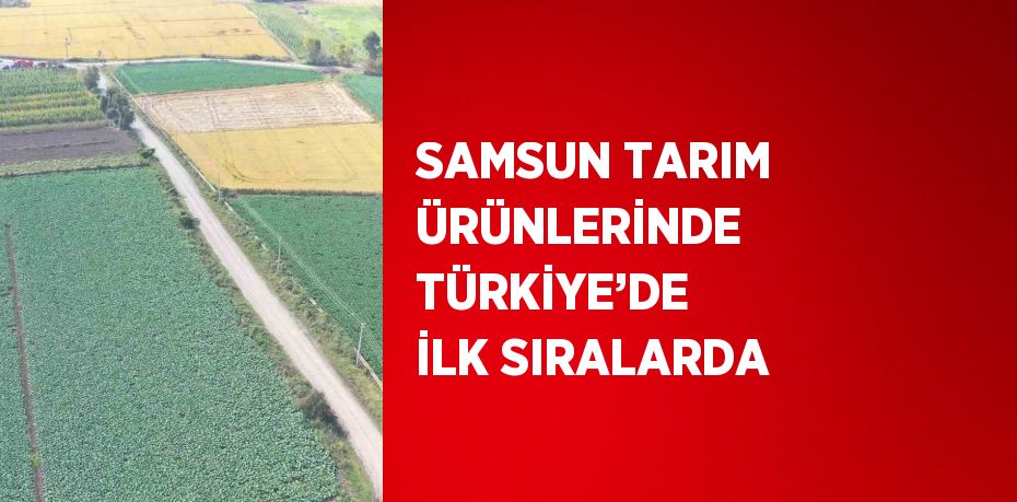 SAMSUN TARIM ÜRÜNLERİNDE TÜRKİYE’DE İLK SIRALARDA