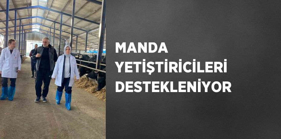 MANDA YETİŞTİRİCİLERİ DESTEKLENİYOR