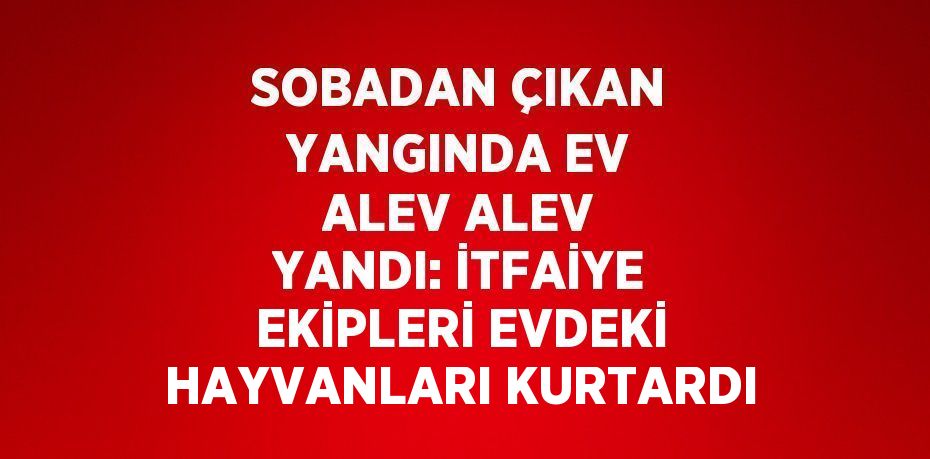 SOBADAN ÇIKAN YANGINDA EV ALEV ALEV YANDI: İTFAİYE EKİPLERİ EVDEKİ HAYVANLARI KURTARDI