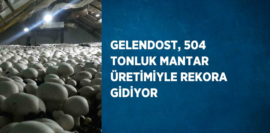 GELENDOST, 504 TONLUK MANTAR ÜRETİMİYLE REKORA GİDİYOR