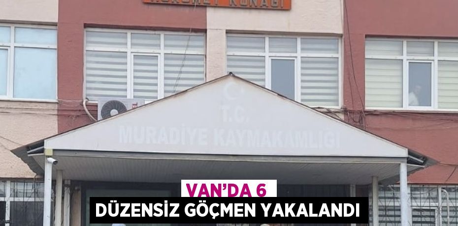 VAN’DA 6 DÜZENSİZ GÖÇMEN YAKALANDI