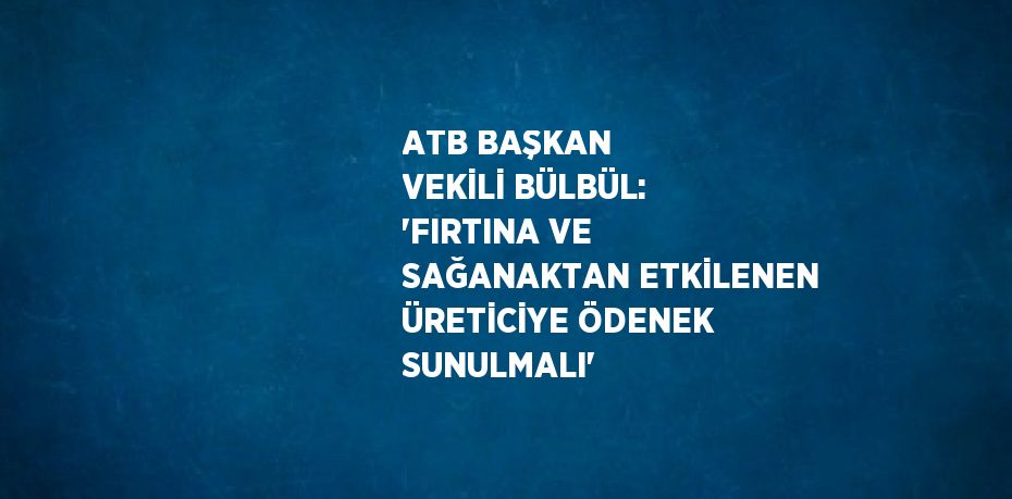 ATB BAŞKAN VEKİLİ BÜLBÜL: 'FIRTINA VE SAĞANAKTAN ETKİLENEN ÜRETİCİYE ÖDENEK SUNULMALI'