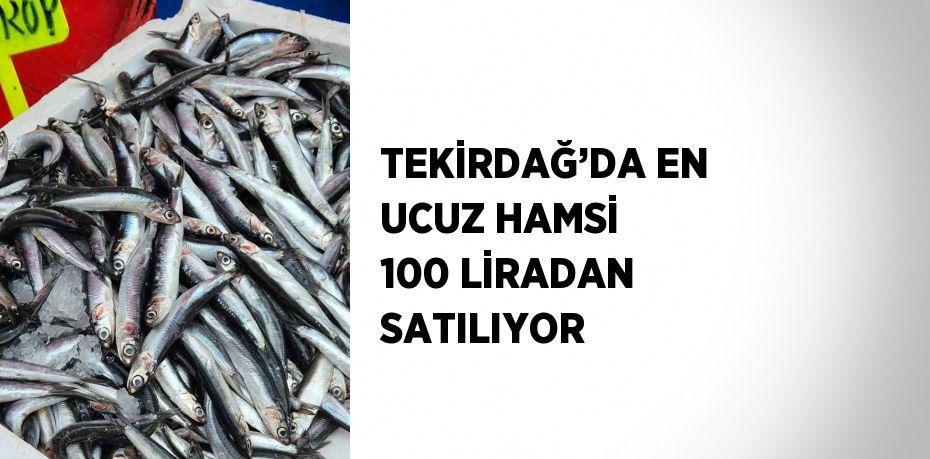 TEKİRDAĞ’DA EN UCUZ HAMSİ 100 LİRADAN SATILIYOR