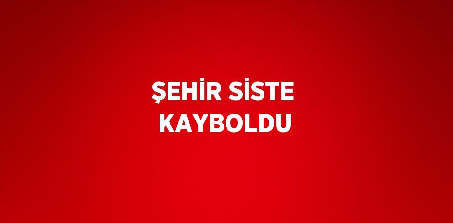 ŞEHİR SİSTE KAYBOLDU