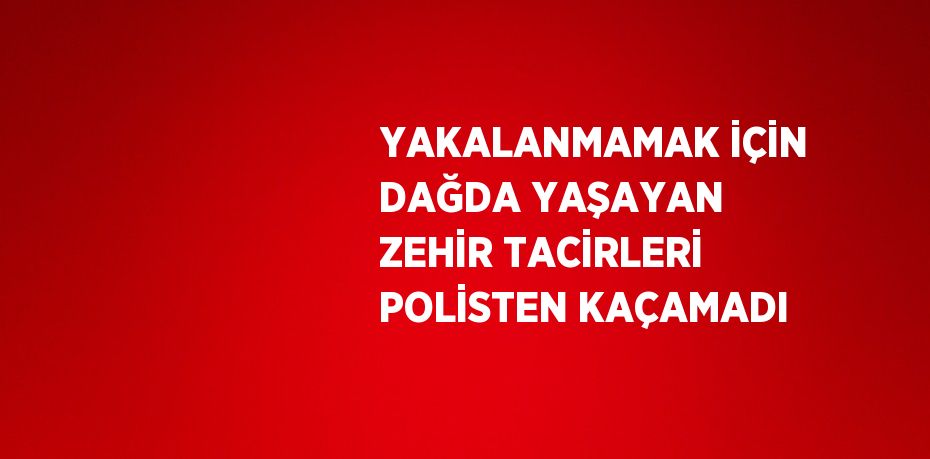 YAKALANMAMAK İÇİN DAĞDA YAŞAYAN ZEHİR TACİRLERİ POLİSTEN KAÇAMADI