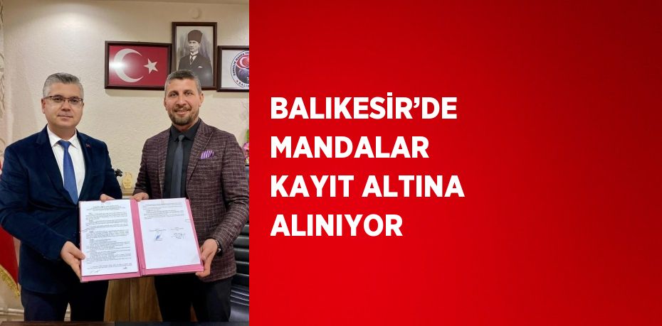 BALIKESİR’DE MANDALAR KAYIT ALTINA ALINIYOR