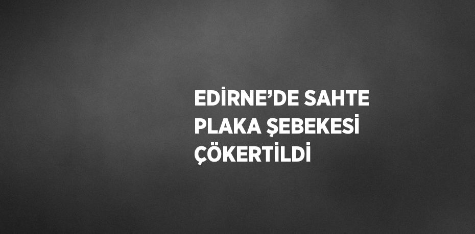 EDİRNE’DE SAHTE PLAKA ŞEBEKESİ ÇÖKERTİLDİ