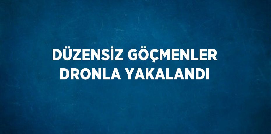 DÜZENSİZ GÖÇMENLER DRONLA YAKALANDI