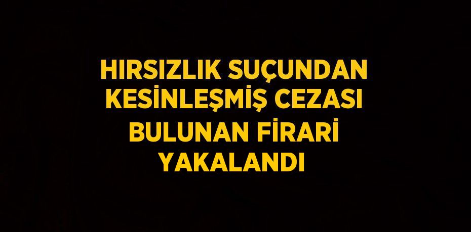 HIRSIZLIK SUÇUNDAN KESİNLEŞMİŞ CEZASI BULUNAN FİRARİ YAKALANDI