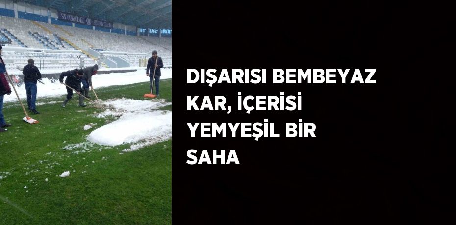 DIŞARISI BEMBEYAZ KAR, İÇERİSİ YEMYEŞİL BİR SAHA