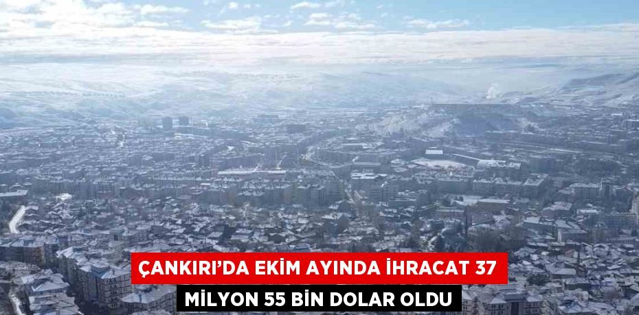 ÇANKIRI’DA EKİM AYINDA İHRACAT 37 MİLYON 55 BİN DOLAR OLDU