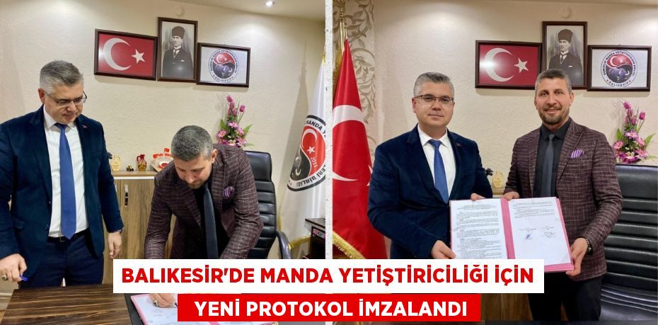 BALIKESİR’DE MANDA YETİŞTİRİCİLİĞİ İÇİN   YENİ PROTOKOL İMZALANDI