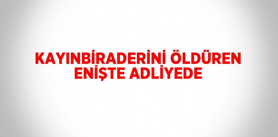 KAYINBİRADERİNİ ÖLDÜREN ENİŞTE ADLİYEDE