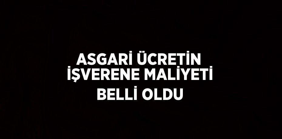 ASGARİ ÜCRETİN İŞVERENE MALİYETİ BELLİ OLDU