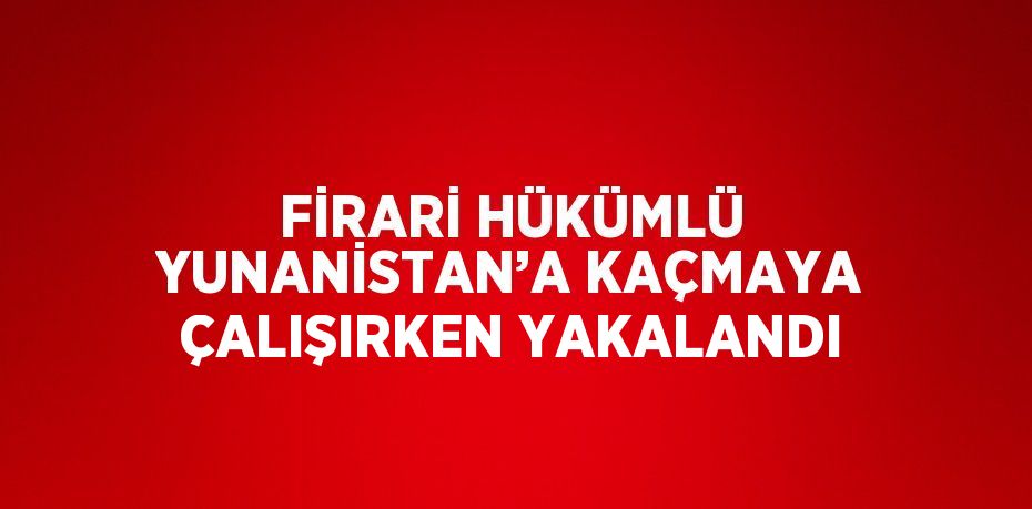 FİRARİ HÜKÜMLÜ YUNANİSTAN’A KAÇMAYA ÇALIŞIRKEN YAKALANDI