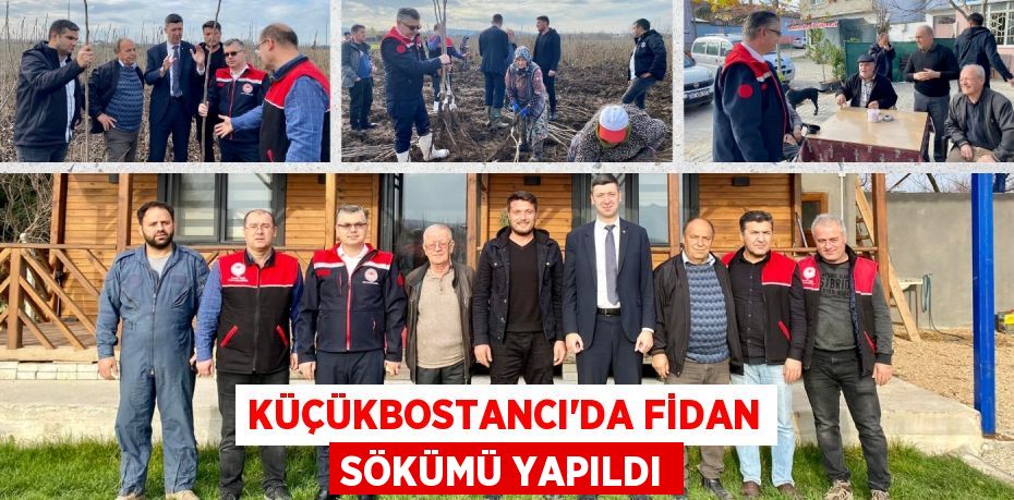 KÜÇÜKBOSTANCI’DA FİDAN SÖKÜMÜ YAPILDI