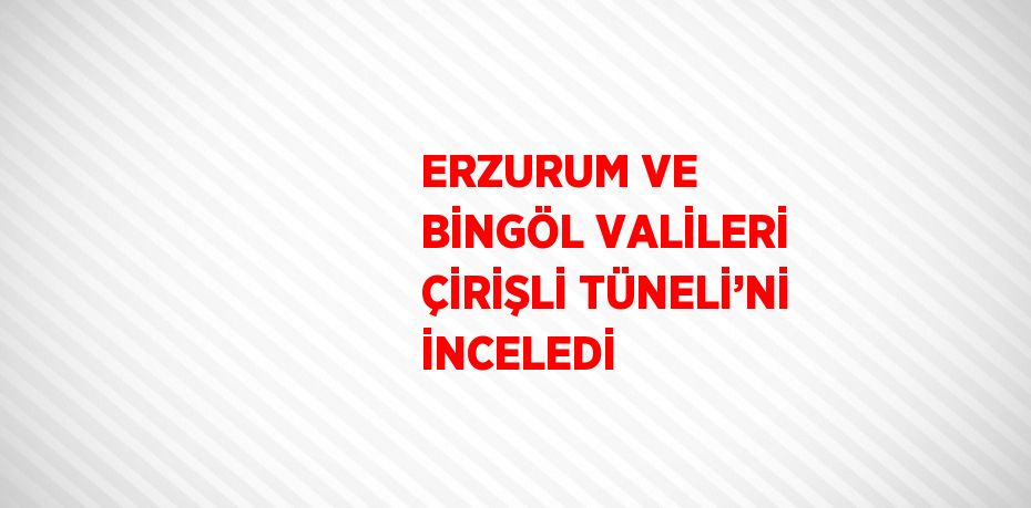 ERZURUM VE BİNGÖL VALİLERİ ÇİRİŞLİ TÜNELİ’Nİ İNCELEDİ