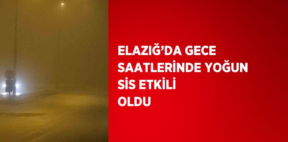 ELAZIĞ’DA GECE SAATLERİNDE YOĞUN SİS ETKİLİ OLDU