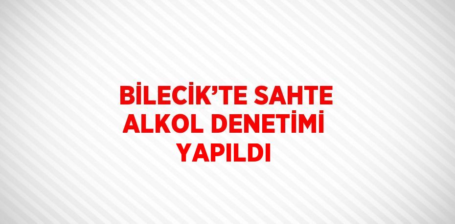 BİLECİK’TE SAHTE ALKOL DENETİMİ YAPILDI