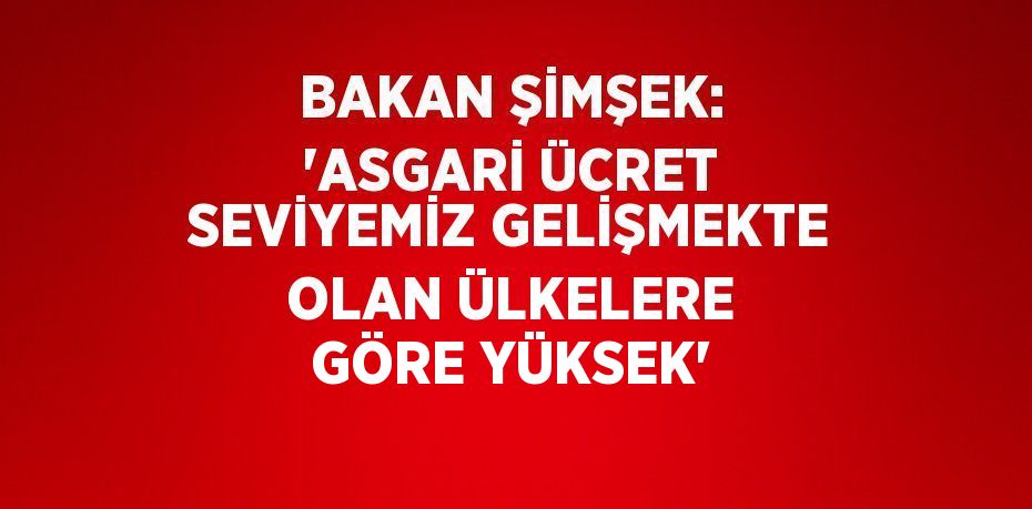 BAKAN ŞİMŞEK: 'ASGARİ ÜCRET SEVİYEMİZ GELİŞMEKTE OLAN ÜLKELERE GÖRE YÜKSEK'