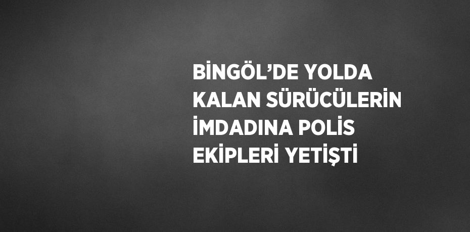 BİNGÖL’DE YOLDA KALAN SÜRÜCÜLERİN İMDADINA POLİS EKİPLERİ YETİŞTİ